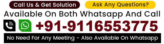 Astrologer Vikash Shastri Ji